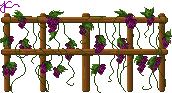 vine