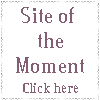 new_sotm