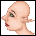 adhalia