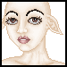 Wyren